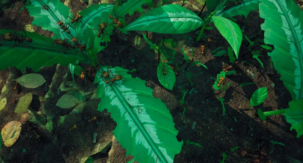 地下蚁国 Empires of the Undergrowth for Mac v0.320034 中文原生版