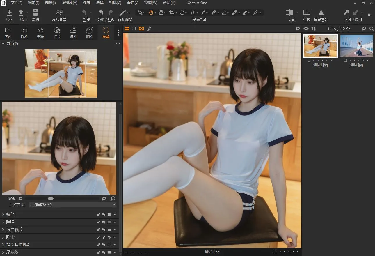 Capture One Pro/Enterprise v16.6.2.2975 飞思软件 RAW图像编辑软件Win中文版