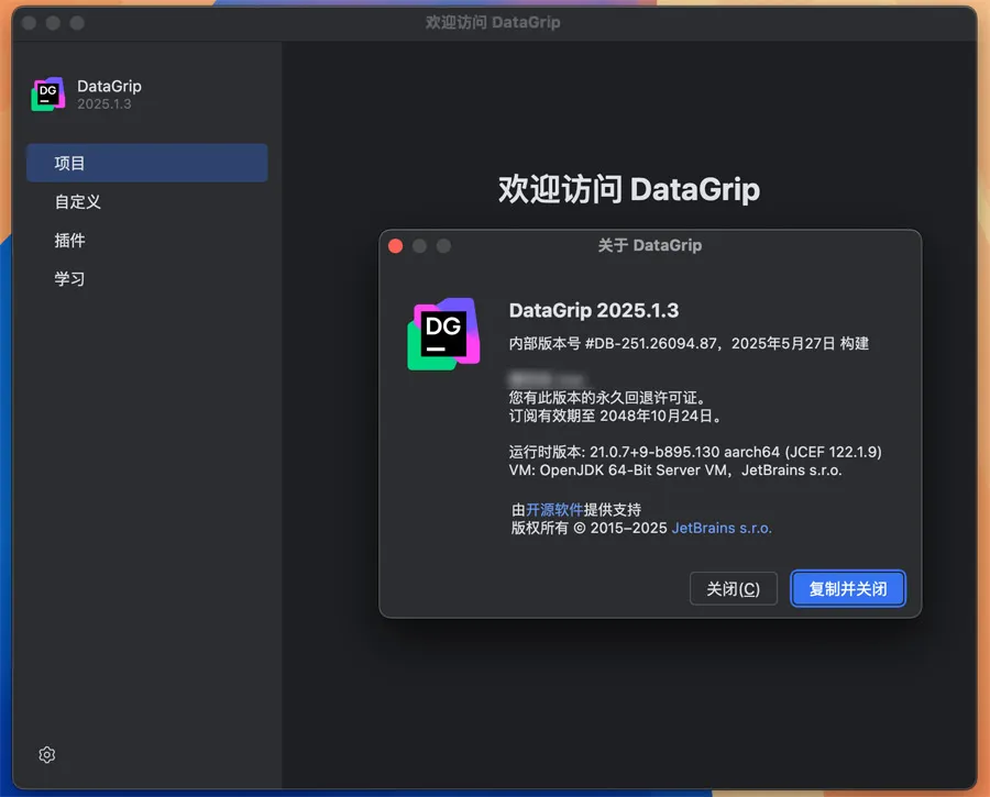 JetBrains DataGrip 2025.1.3 中文激活版 Mac多引擎数据库管理工具 (内含Intel+ARM版)